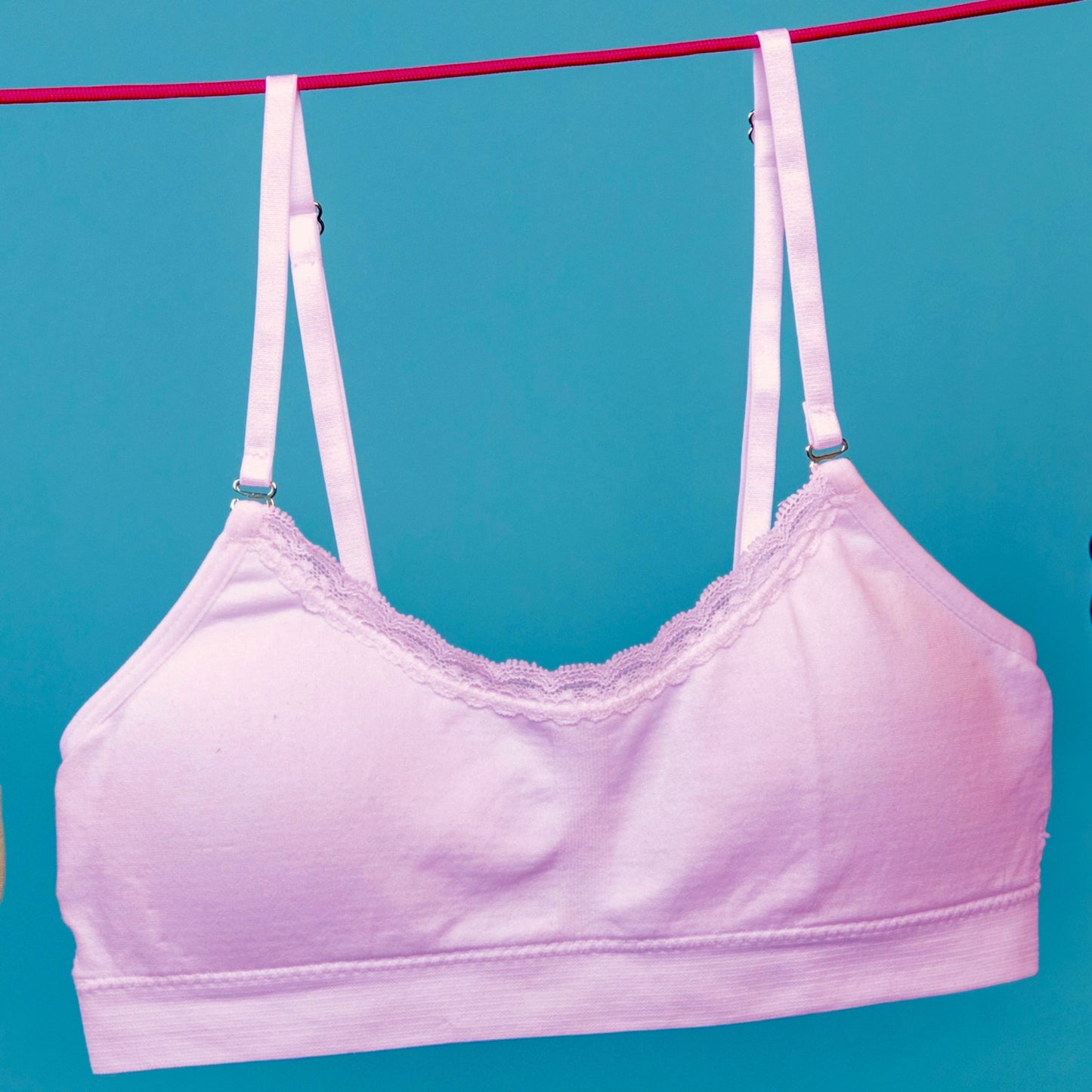 The Lily Sports Bralette